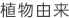 植物由来